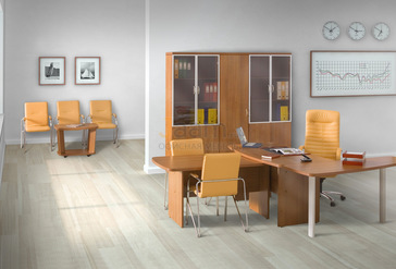 Кабинет руководителя Эталон