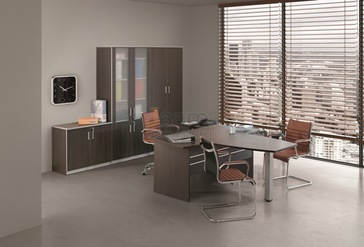 Кабинет руководителя Practic Direct